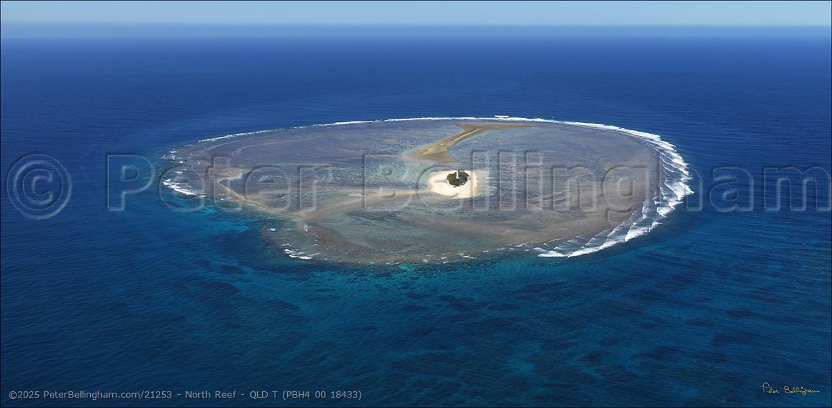 Peter Bellingham Photography North Reef - QLD T (PBH4 00 18433)